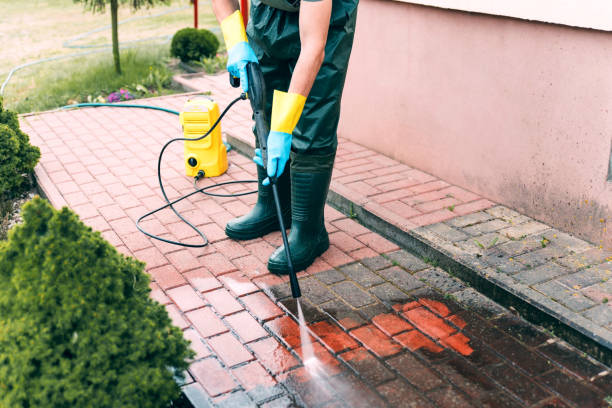 Best Pressure Washing Siding  in Molalla, OR