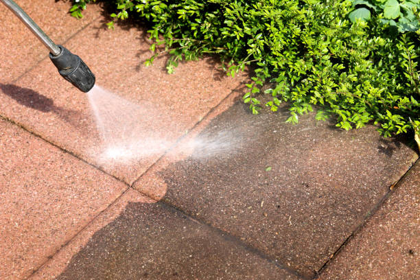 Best Pressure Washing Cost  in Molalla, OR